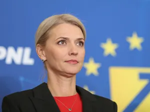 Alina Gorghiu: „Bărbat inclus pe lista celor mai căutaţi fugari din Europa, adus în România” - Foto: INQUAM Photos/ Saul Pop/ Imagine cu caracter ilustrativ