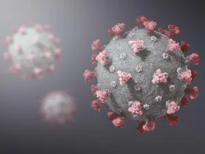 A apărut în Franța o variantă de coronavirus /foto: brown university