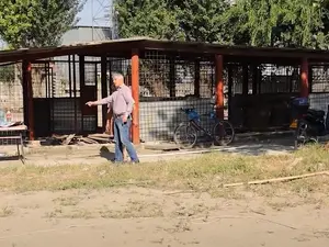 VIDEO Scandal uriaș la Calafat. Primarul a mutat biroul viceprimarului în adăpostul pentru câini/FOTO: Captura video/Youtube