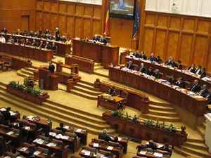 13,6 milioane lei subvențiile acordate partidelor politice numai în iunie /cdep