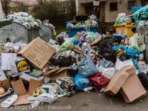 Gunoaie în Târgu Mureș - Foto: Facebook/ Primăria Târgu Mureș