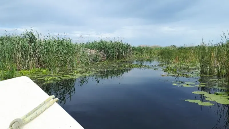 Delta Dunării crește în preferințele românilor