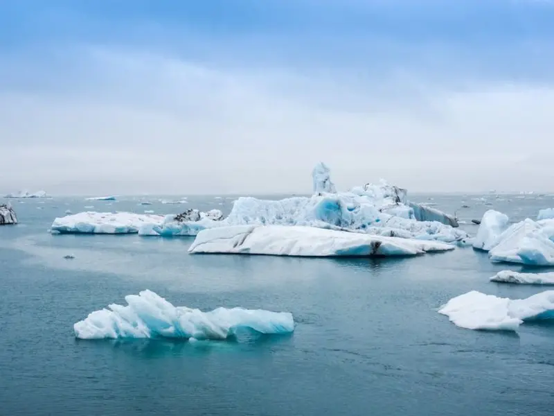 Schimbările climatice provoacă riscuri noi de sănătate, pe tot mapamondul - Foto: Pexels/Guillaume Falco