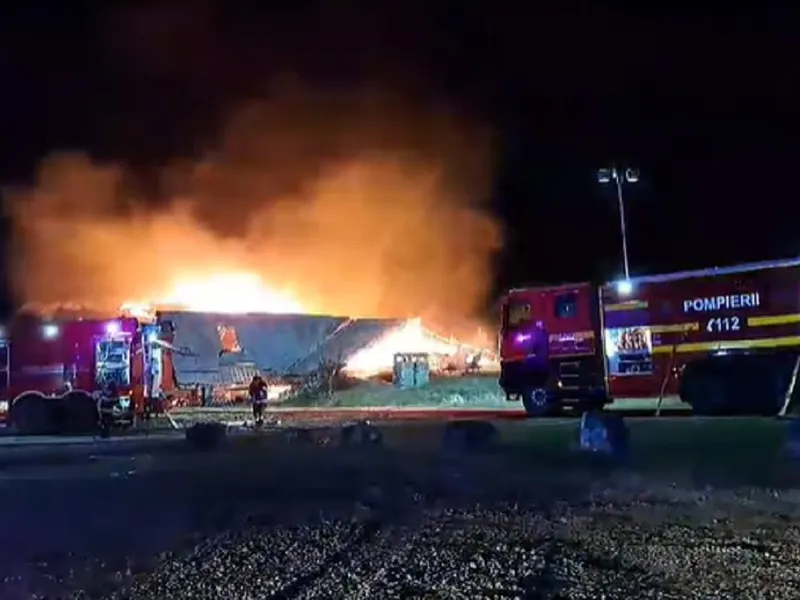 Incendiu la pensiunea Ferma Dacilor Foto: captură video ISU Prahova