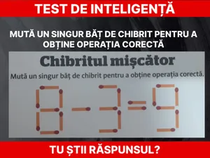 Test de inteligență. Chibritul mișcător Foto: Daniel Toșa