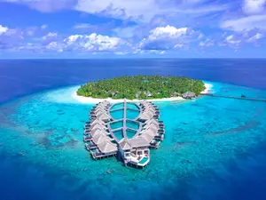 Photo by Asad Photo Maldives from Pexels