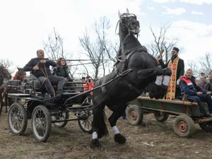 „Botezul cailor”, de Bobotează n-ar trebui făcut cu agheasmă - Foto: INQUAM Photos/George Călin - cu rol ilustrativ