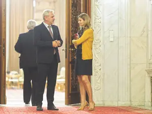 Anca Alexandrescu și Liviu Dragnea