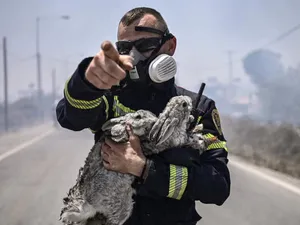 Pompier român care a salvat din calea flăcărilor doi iepuri și o pisică - Foto: Facebook/ AFP