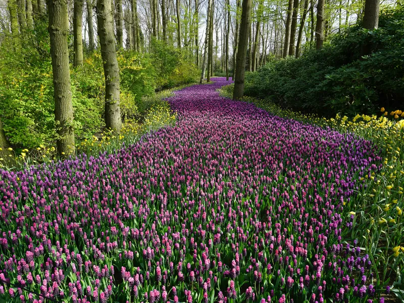 VREMEA Aerul tropical aduce temperaturi de 20 de grade. În ce oraș se va merge în tricou foto: Pexels (fotografie cu caracter ilustrativ)