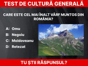 Test de cultură generală Foto: Daniel Toșa