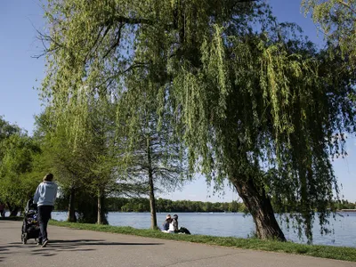 Descoperire macabră în lacul Herăstrău - Foto: INQUAM Photos/Octav Ganea - cu rol ilustrativ