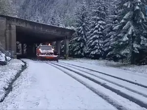 Iarna pune stăpânire pe România. Locul din țară unde a nins abundent. Stratul are deja15 cm - Foto: Facebook/ DRDP Brașov