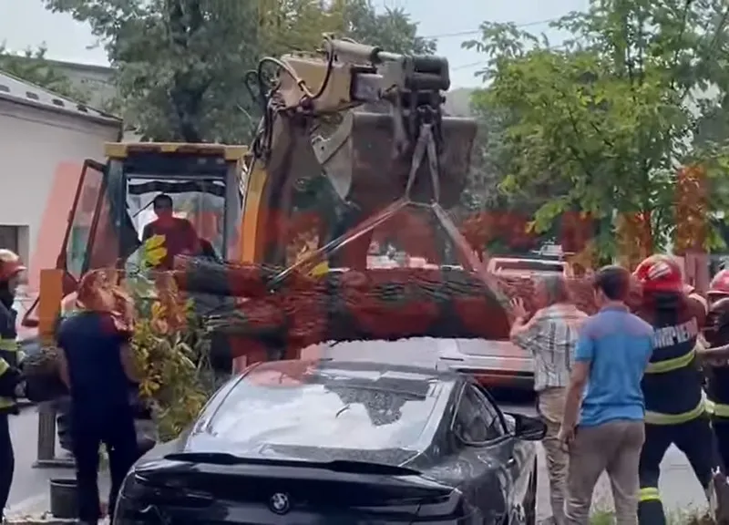 Un copac cade pe un BMW Seria 8. Apoi, „Dorel” îl scapă din excavator. / Foto: captură ecran