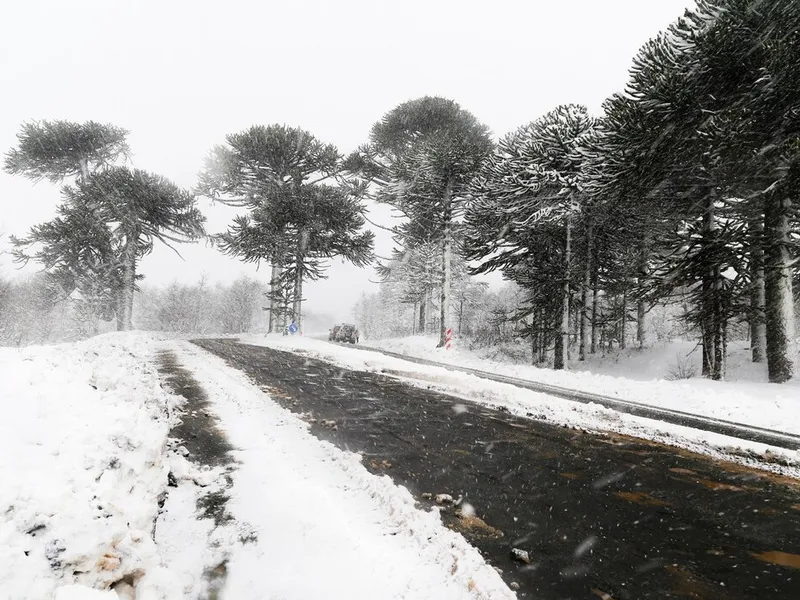 METEO Noi prognoze de la meteorologi. Vremea se schimbă. ANM a emis două alerte - Foto: Freepik. com (rol ilustrativ)