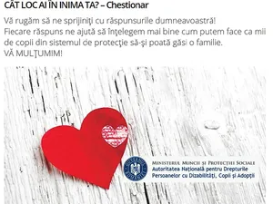 Până la finalul lunii iunie,  1.000 de oameni au răspuns la acest  chestionar. La toamnă, va fi demarată o  campanie națională pentru promovarea adopției