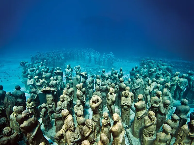 Evoluție discretă - Isla Mujeres, Mexic