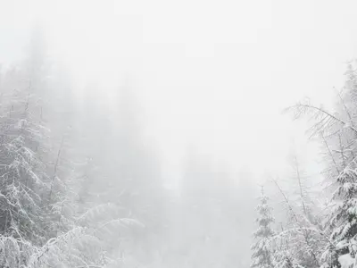 METEO Vin primele ninsori în România. În ce orașe a fost emis Cod galben de zăpadă și vânt Foto: Freepik (fotografie cu caracter ilustrativ)