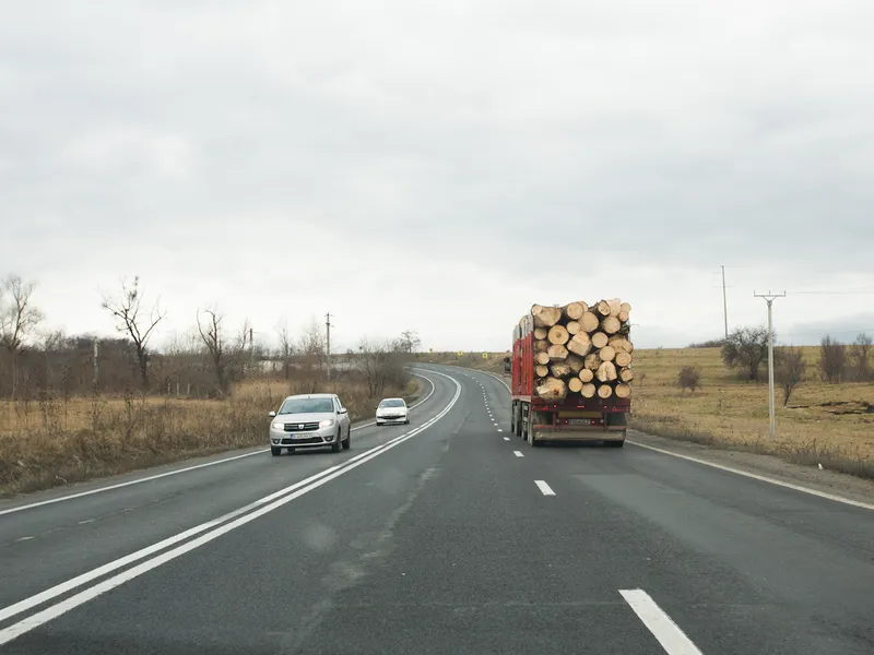 Cantitatea de material lemnos a fost evaluată la suma de 13.410 lei, fiind confiscată - Foto: INQUAM PHOTOS/ Tudor Costache