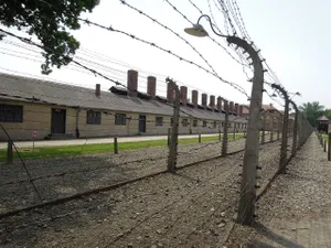 S-au împlinit 77 de ani de la eliberarea lagărului Auschwitz-Birkenau/FOTO: Pixabay