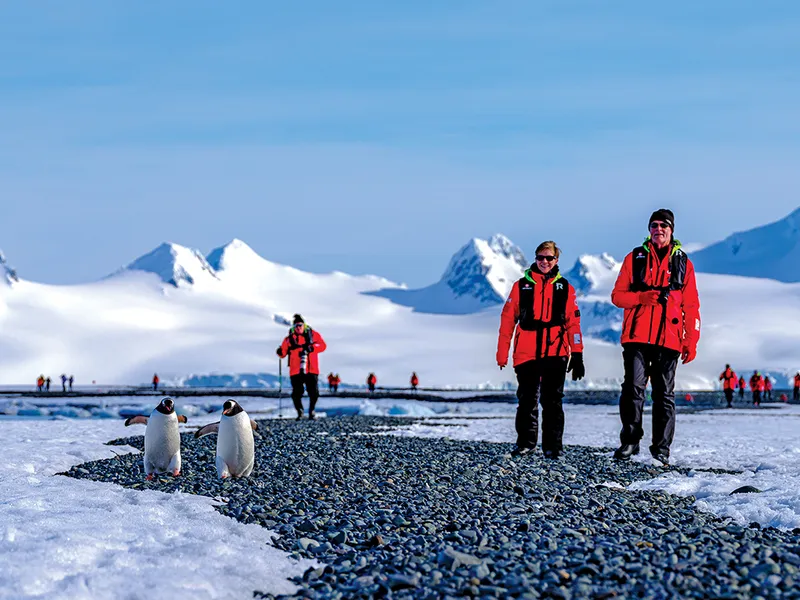 Economie de carbon - Antarctica