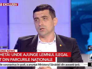 Nouă alianță politico-mediatică împotriva străinilor care „ne taie pădurile”: Antena3 + AUR + Declic/FOTO: Antena 3