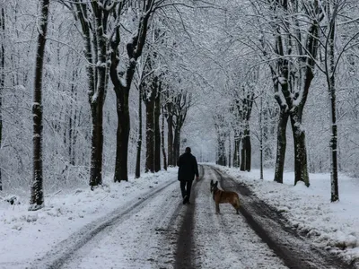 Doi oameni au murit după ce țara lor a fost lovită de zăpadă. Unde se întâmplă? - Foto: AFP