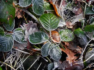 METEO Vremea începe să se schimbe. În ce zonă s-au înregistrat 0 grade Celsius? - Foto: Pixabay.com