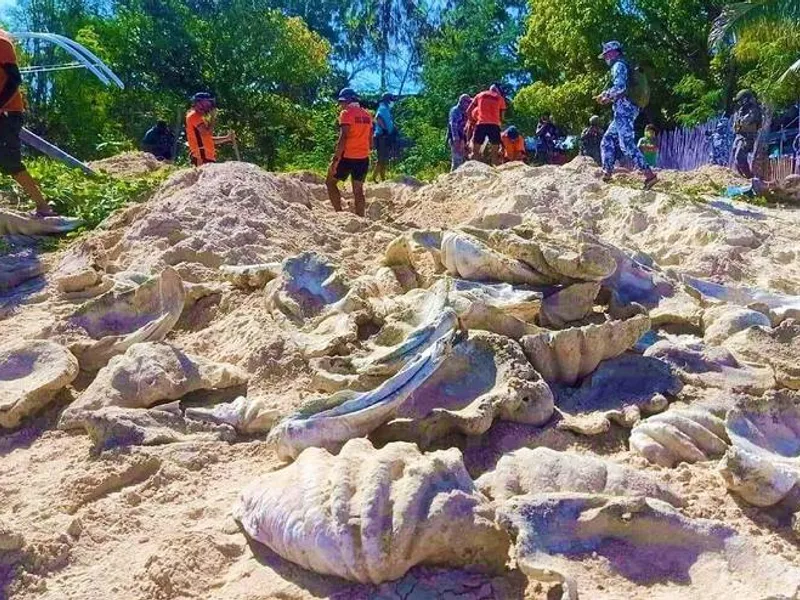 80 de tone de scoici uriașe, din specii rare, confiscate de la traficanți. Foto Paza de Coastă Filipineză