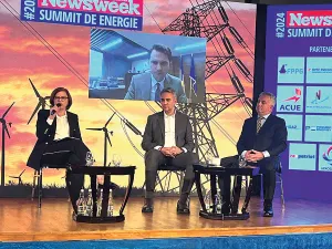 Sebastian Burduja, ministrul Energiei (sus pe monitor), Dana Daraban, director executiv ACUE, George-Sergiu Niculescu, președinte al Autorității Naționale de Reglementare în Domeniul Energiei, Marius Bostan, ințiator RePatriot