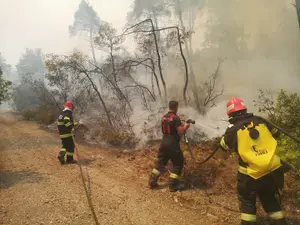 Incendiile care au devastat peste 100.000 de hectare de teren în Grecia, sub control în urma ploilor/FOTO: Facebook/IGSU