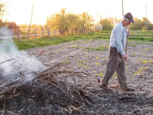 Amenzi de până la 100.000 lei pentru românii care stau la curte și fac acest lucru pe caniculă  - Foto: Freepik.com (rol ilustrativ)