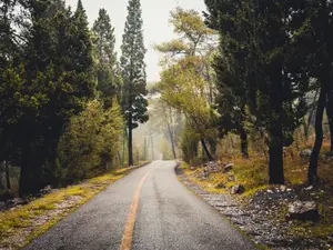 METEO Vom trece brusc de la soare și căldură, la frig și ploi. Cum se schimbă vremea în weekend Foto: Pexels (fotografie cu caracter ilustrativ)