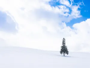 METEO Temperaturile au scăzut cu 20 de grade în țară. Cât mai ține iarna în România? foto: Freepik (fotografie cu caracter ilustrativ)