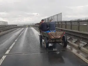 O căruță circula pe Autostrada 1, în apropiere de Sibiu / FB