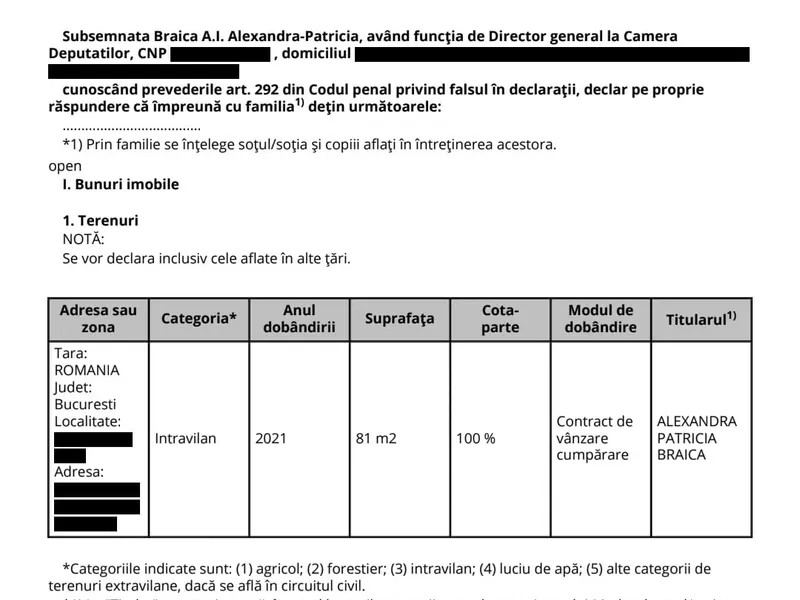 Declarație de avere Alexandra Patricia Braica