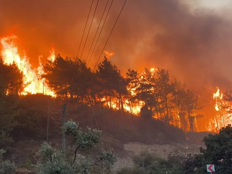 Incendiile devastatoare din Turcia, aduse în mare parte sub control după aproape două săptămâni. / Foto: dailysabah.com