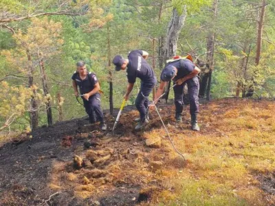 Misiune dificilă a pompierilor din Vâlcea. Pădurea de lângă Băile Olănești arde de trei zile - Foto: News.ro