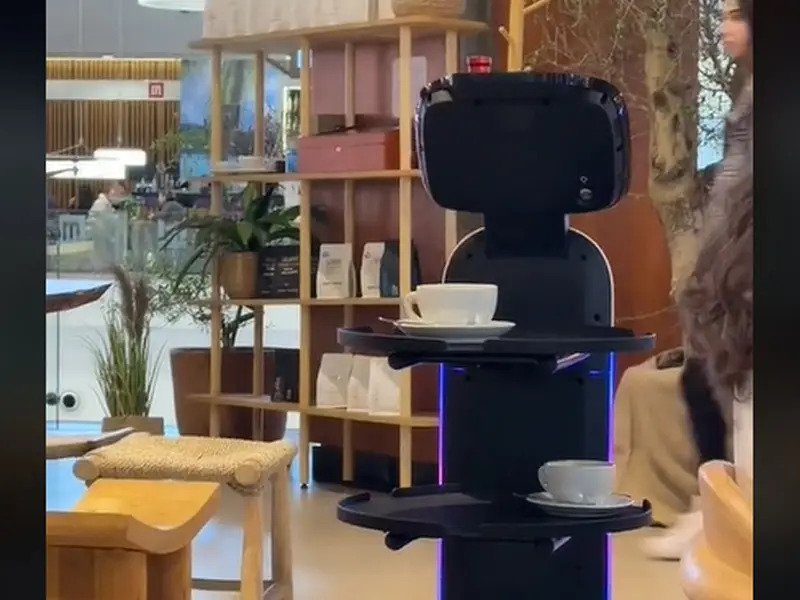 Care este mall-ul din România în care au apărut chelneri roboţi - Foto: TikTok/andra.renata