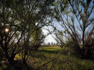 Nicuşor Dan: „Acţiunea de ecologizare a Parcului Văcăreşti vizează evacuarea deşeurilor istorice” - Foto: Profimedia Images/ Imagine cu caracter ilustrativ