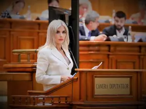 Familia deputatei Laura Vicol a încasat 10.000.000 lei într-un singur an. - Foto: Facebook / Laura Vicol