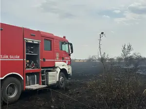 Incendiu de vegetație lângă București. Au fost afectate o casă și o mașină de pompieri - Foto: ISU B-IF