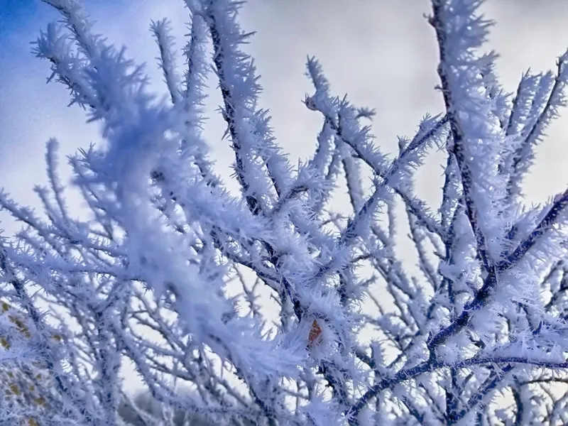 Iarna își intră în drepturi. Meteorologii au anunțat Cod galben de vijelii și ninsori în țară Foto: Pexels (fotografie cu caracter ilsutrativ)