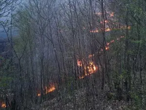 Zeci de hectare de vegetație uscată au luat foc în Prahova. În zonă bate vântul - Foto: ISU Prahova