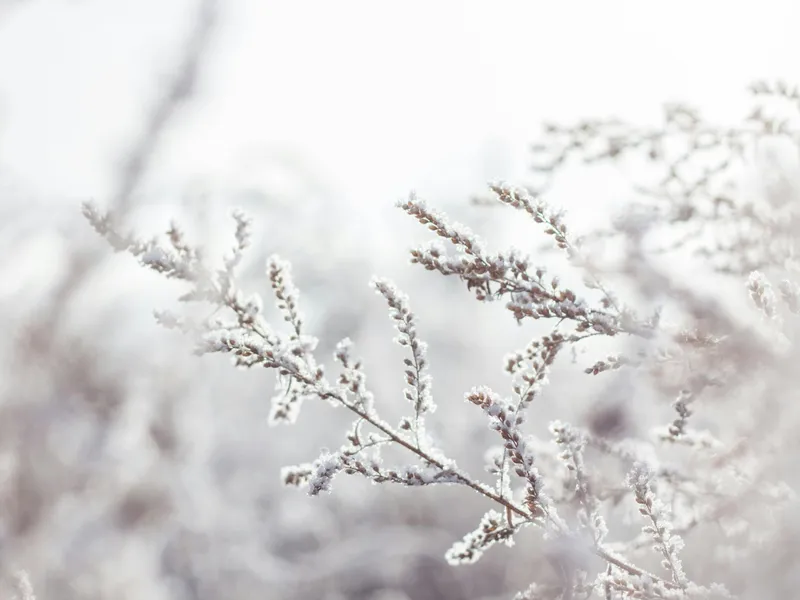 VREMEA Se întorc ninsorile și temperaturile scăzute. Care sunt zonele cu temperaturi de -12 grade Foto: Pexels (fotografie cu caracter ilustrativ)