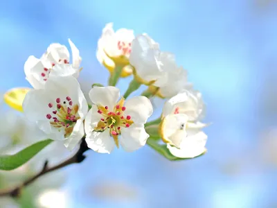 VREMEA Prima zi din luna aprilie aduce temperaturi maxime în aproape toată țara. Unde e cel mai cald Foto: Pexels (fotografie cu caracter ilustrativ)