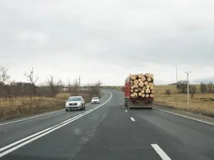 Actorii din Industria Lemnului afirmă că noul Cod Silvic conţine sancţiuni penale excesive - Foto: Inquam Photos / Tudor Costache