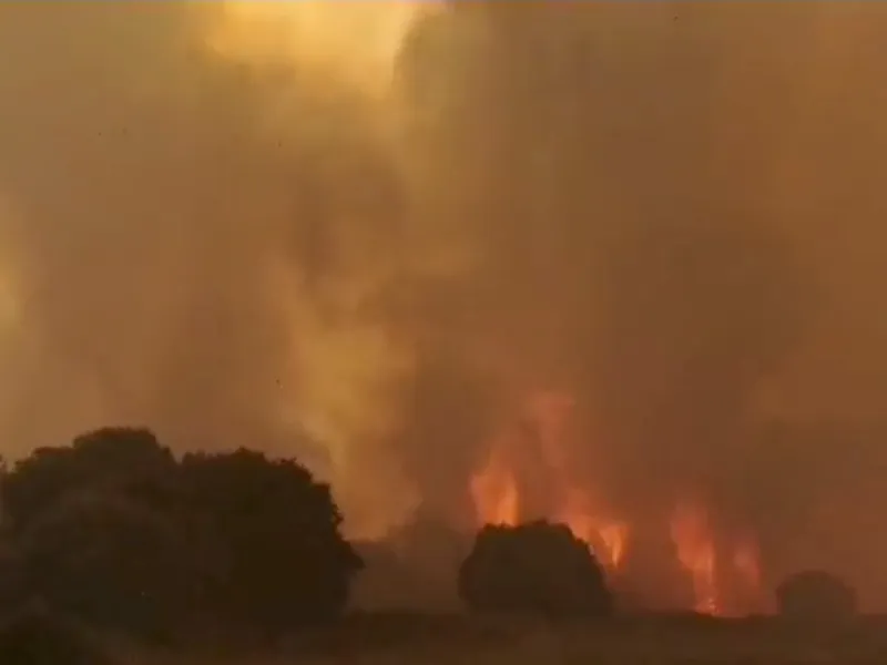 Incendii devastatoare în Sardinia. / Foto: reuters.com