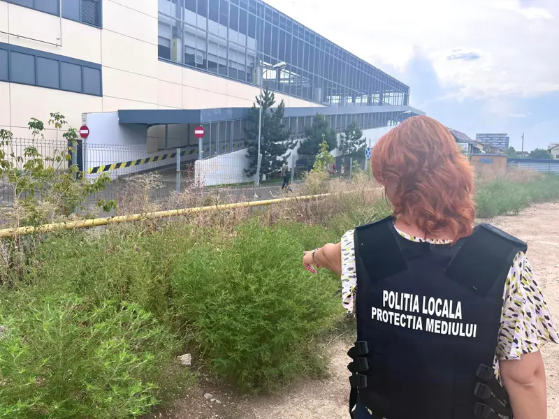 Planta de care se tem milioane de români. Infectează la 3 km distanță. Ce amendă iei dacă nu o tai? - Foto: facebook/ Poliția Locală Sector 6