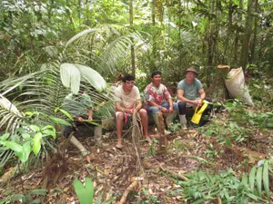 Doi minori au fost salvați din jungla amazoniană după ce s-au pierdut timp de aproape o lună de zile/FOTO: Phys.org